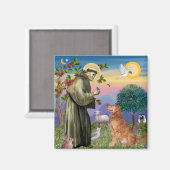 Saint Francis - Goldener Retriever (#1) Magnet (Vorderseite/Rückseite)