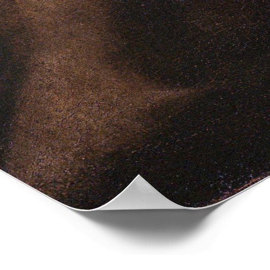 Saint Francis im Gebet - Caravaggio Poster (Ecke)