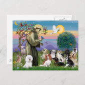 Saint Francis mit 10 Hunden Postkarte (Vorne/Hinten)