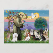 Saint Francis mit 10 Hunden Postkarte (Vorderseite)
