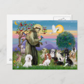 Saint Francis mit 10 Hunden Postkarte (Vorne/Hinten)