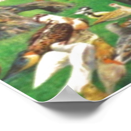 Saint Francis Poster (Ecke)