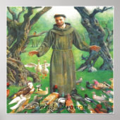 Saint Francis Poster (Vorne)
