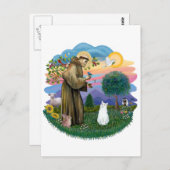 Saint Francis - White Cat (American SH) Postkarte (Vorne/Hinten)