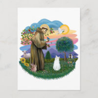 Saint Francis - White Cat (American SH)