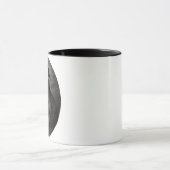 Saint Francis Xavier Tasse (Zentrum)