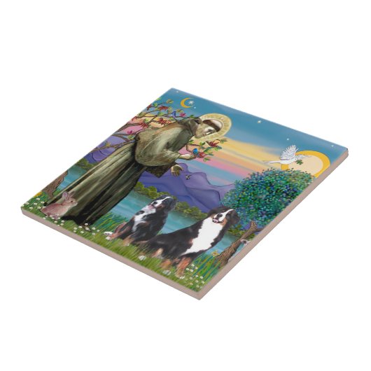 Saint Francis - Zwei Berner Hunde Fliese (Seite)