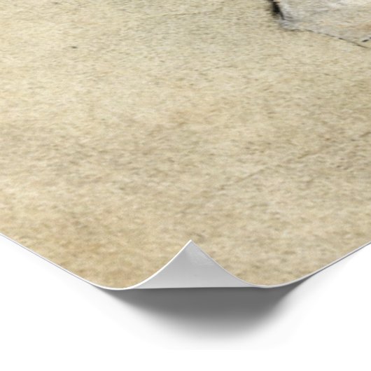 Saint Hedwig Poster (Ecke)