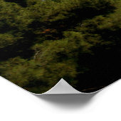 Saint-Jean-Cap-Ferrat Poster (Ecke)