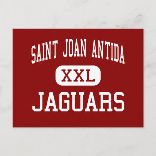 Saint Joan Antida - Jaguars - Hoch - Milwaukee Postkarte