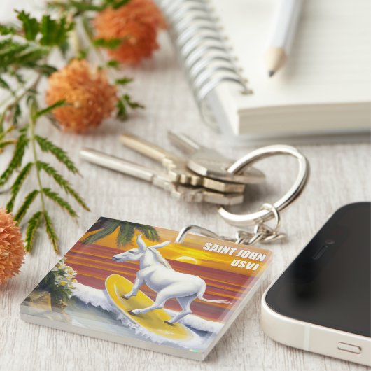 Saint John US Jungfrau Islands Funny Donkey Surfin Schlüsselanhänger (Vorderseite rechts)