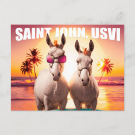 Saint John USVI Donkeys auf Beach Funny Unique Postkarte