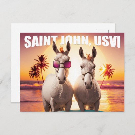 Saint John USVI Donkeys auf Beach Funny Unique Postkarte (Vorne/Hinten)