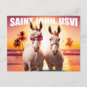 Saint John USVI Donkeys auf Beach Funny Unique Postkarte (Vorderseite)