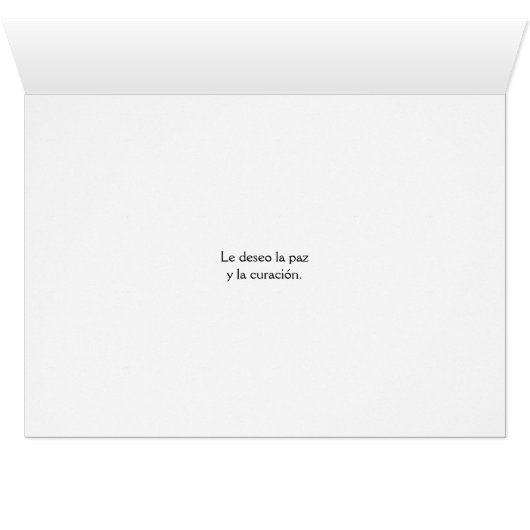 Saint Jose Gabriel Brochero, El Cura Gaucho (Innenansicht Horizontal (Unten))