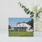 Saint Joseph Plantation Postkarte (Stehend Vorderseite)