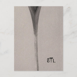 Saint Louis Arch Postkarte
