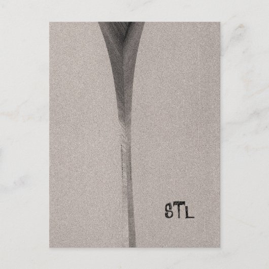 Saint Louis Arch Postkarte (Vorderseite)