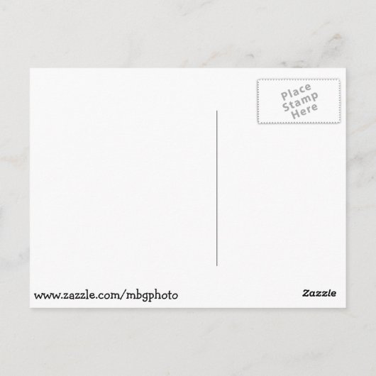 Saint Louis Zoo Postkarte (Rückseite)