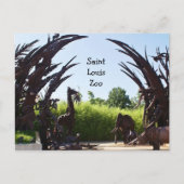 Saint Louis Zoo Postkarte (Vorderseite)