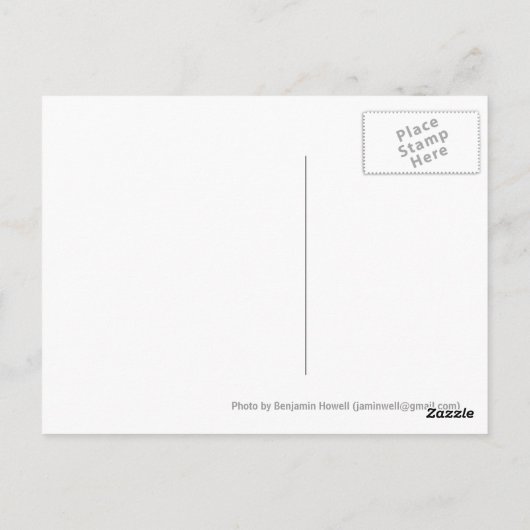 Saint Lucia, Pitcher aus Soufriere Postkarte (Rückseite)