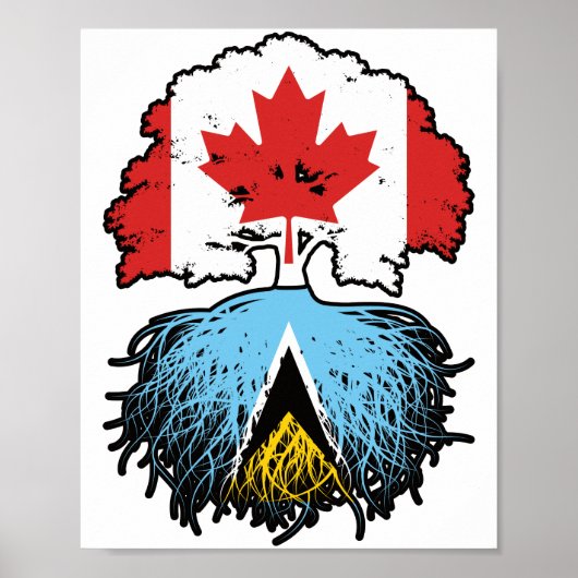 Saint Lucia Saint Lucian Kanada Tree Root Poster (Vorne)