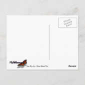 Saint Mary Lake I - Glacier National Park Postkarte (Rückseite)