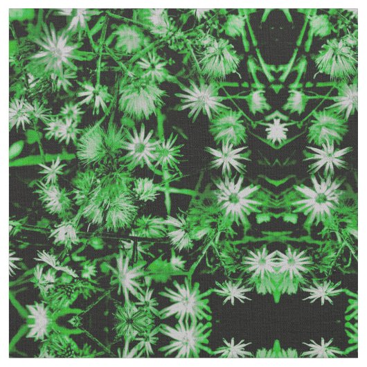 Saint Patrick Daisy Stoff (Nahaufnahme)