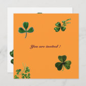 SAINT PATRICK'S DAY PARTY Kleeblatt, orange, grün Einladung (Vorne/Hinten)