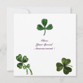 SAINT PATRICK'S DAY PARTY Kleeblatt, orange, grün Einladung (Rückseite)