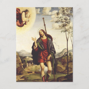 Saint Roch von Francesco Francia Postkarte