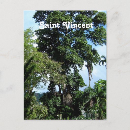 Saint Vincent Island Postkarte (Vorderseite)
