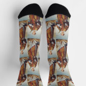 Saint Vincent of Saragossa Socken (Oben)