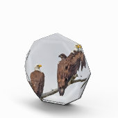 Saison 12 E23 und Foto-Familienblock Fotoblock (Rechts)