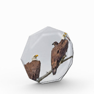 Saison 12 E23 und Foto-Familienblock Fotoblock