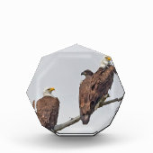 Saison 12 E23 und Foto-Familienblock Fotoblock (Vorderseite)