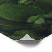 Saison 2011 poster (Ecke)