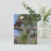 Saison 6 E10, E11 & Harriet Post Card Postkarte (Stehend Vorderseite)