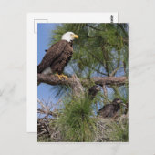 Saison 6 E10, E11 & Harriet Post Card Postkarte (Vorne/Hinten)