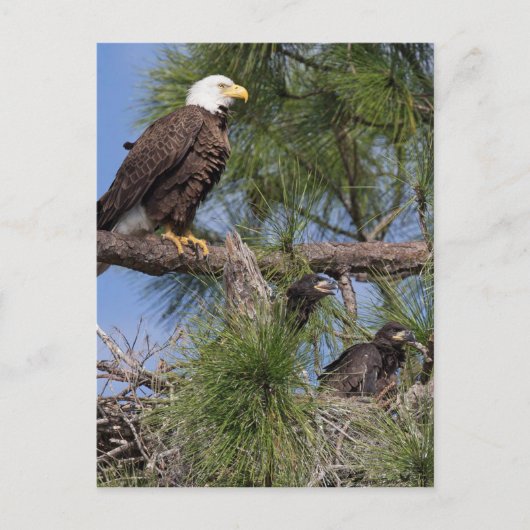 Saison 6 E10, E11 & Harriet Post Card Postkarte (Vorderseite)