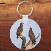 Saison 7-E12 & E13 SW Florida Eagle Cam Schlüssela Schlüsselanhänger (Vorderseite)