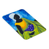 Saison Cayemite 2011 Magnet (Rechte Seite)