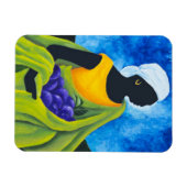 Saison Cayemite 2011 Magnet (Horizontal)