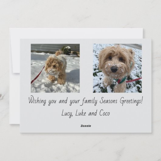 Saison-Grüße Script Photo Karte (Rückseite)