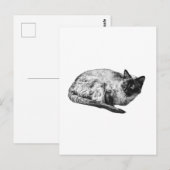 Saison in sanftem Kontrast Postkarte (Vorne/Hinten)