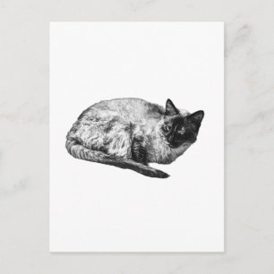 Saison in sanftem Kontrast Postkarte