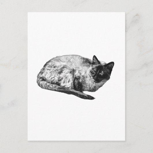 Saison in sanftem Kontrast Postkarte (Vorderseite)