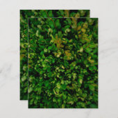 Saisonale Eleganz Einladung (Vorne/Hinten)