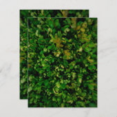 Saisonale Eleganz Feiertagskarte (Vorne/Hinten)