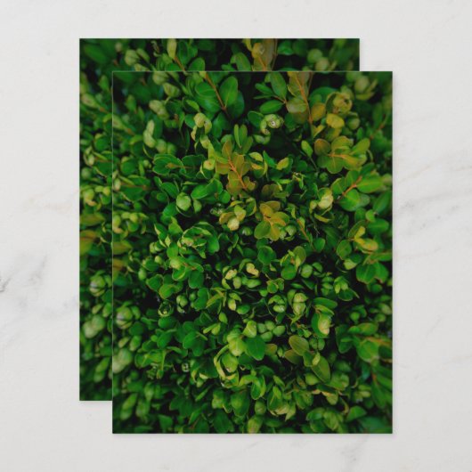 Saisonale Eleganz Feiertagskarte (Vorne/Hinten)